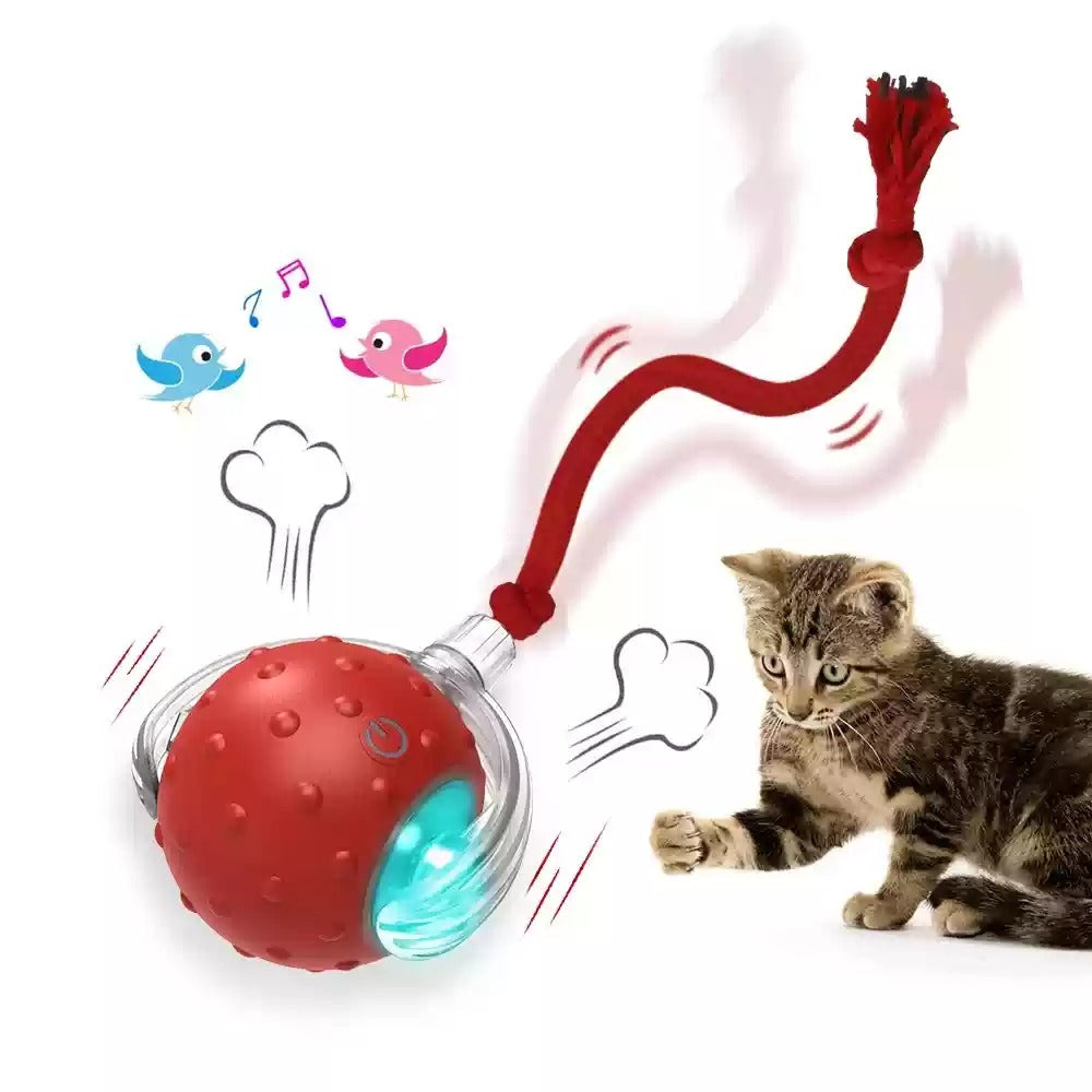 Interactive Cat Toy Ball Super Drive Cat Rolling Balls With - Elorapets Elorapets Red j4e0kn-zs 0 Interactive Cat Toy Ball Super Drive Cat Rolling Balls With