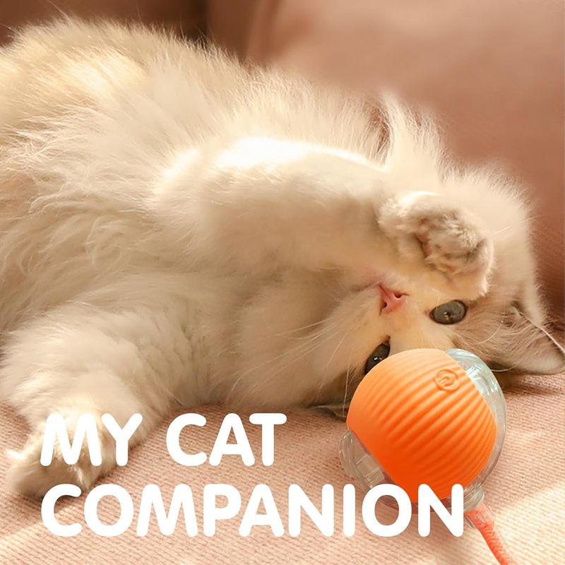 Interactive Smart Cat Ball Toy – USB Rechargeable - Elorapets Elorapets Red j4e0kn-zs 4 Interactive Smart Cat Ball Toy – USB Rechargeable