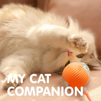 Interactive Smart Cat Ball Toy – USB Rechargeable - Elorapets Elorapets Red j4e0kn-zs 4 Interactive Smart Cat Ball Toy – USB Rechargeable