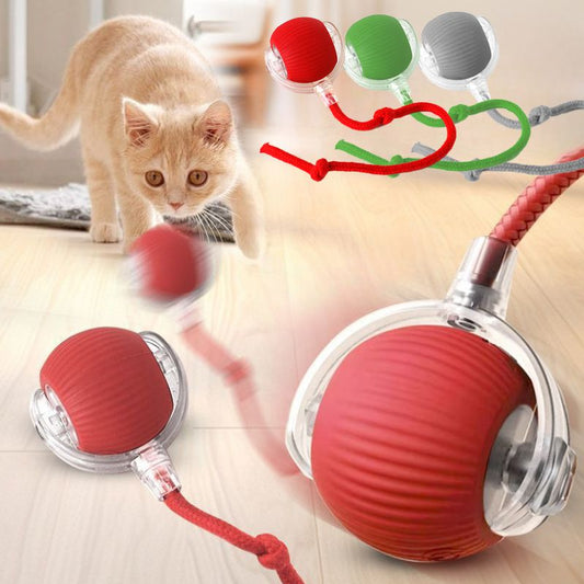 Interactive Smart Cat Ball Toy – USB Rechargeable - Elorapets Elorapets Red j4e0kn-zs 4 Interactive Smart Cat Ball Toy – USB Rechargeable