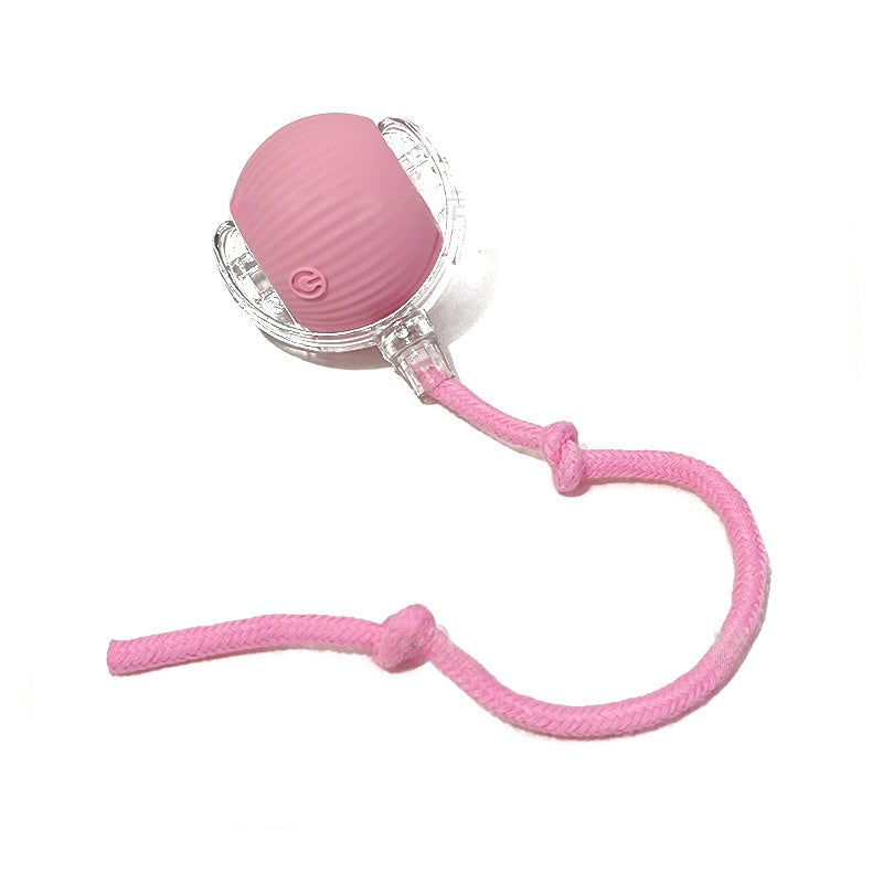Interactive Smart Cat Ball Toy – USB Rechargeable - Elorapets Elorapets Pink j4e0kn-zs 4 Interactive Smart Cat Ball Toy – USB Rechargeable
