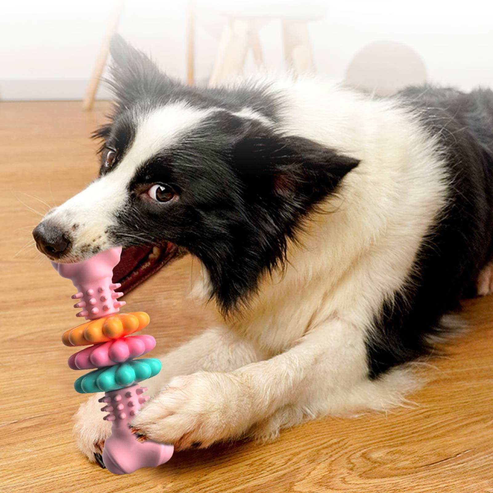 Indestructible TPR Dog Chew Bone – Teeth Cleaning Toy - Elorapets Elorapets Blue j4e0kn-zs 0 Indestructible TPR Dog Chew Bone – Teeth Cleaning Toy