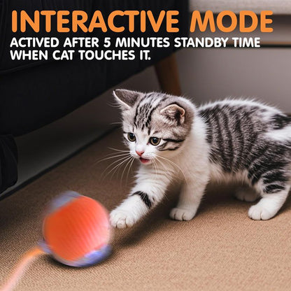 Interactive Smart Cat Ball Toy – USB Rechargeable - Elorapets Elorapets Red j4e0kn-zs 4 Interactive Smart Cat Ball Toy – USB Rechargeable