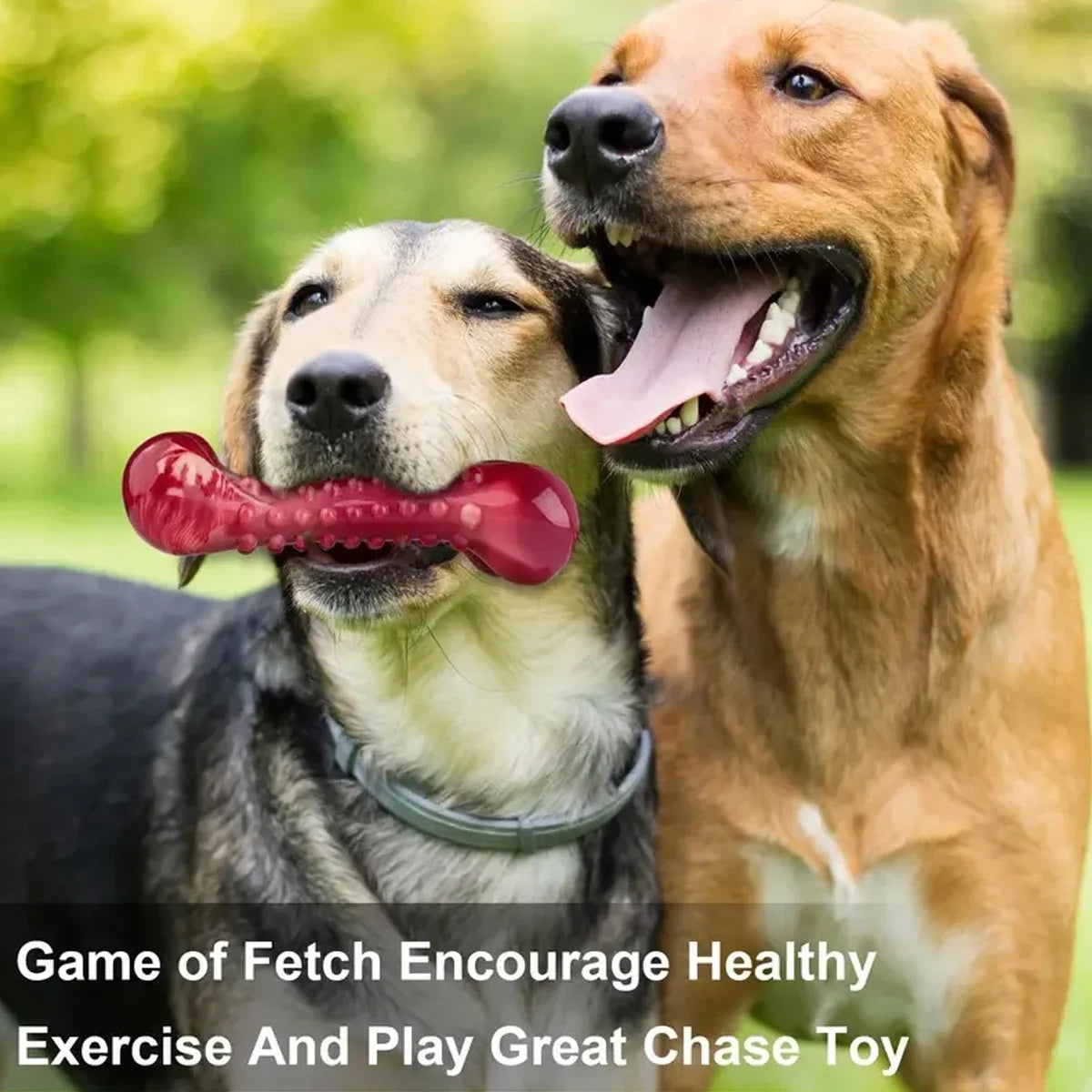 Durable Natural Rubber Chew Toy for Aggressive Dogs - Elorapets Elorapets Red j4e0kn-zs 4 Durable Natural Rubber Chew Toy for Aggressive Dogs