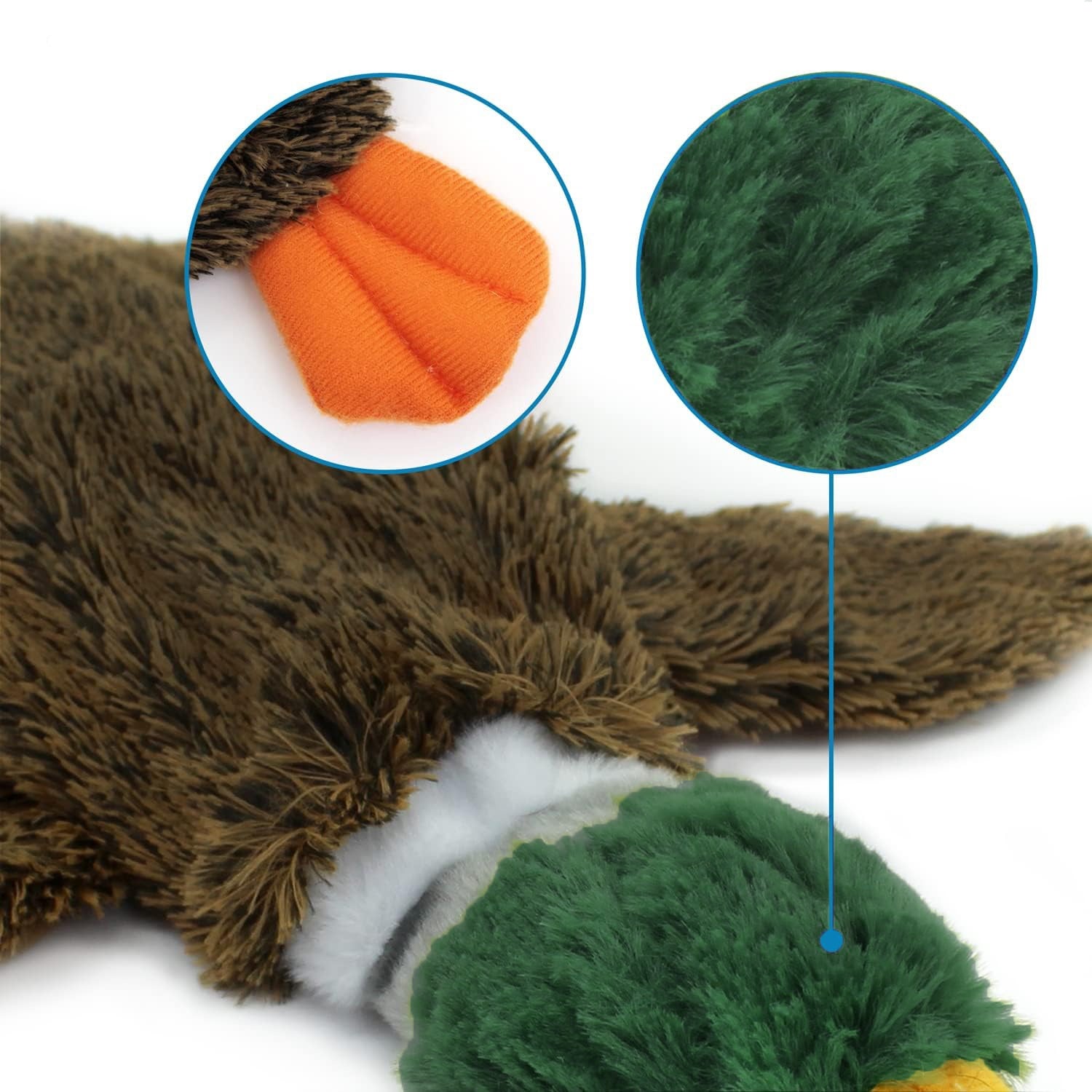 2-in-1 Stuffless Duck Dog Toy – Squeaky Plush - Elorapets Elorapets Green j4e0kn-zs 4 2-in-1 Stuffless Duck Dog Toy – Squeaky Plush