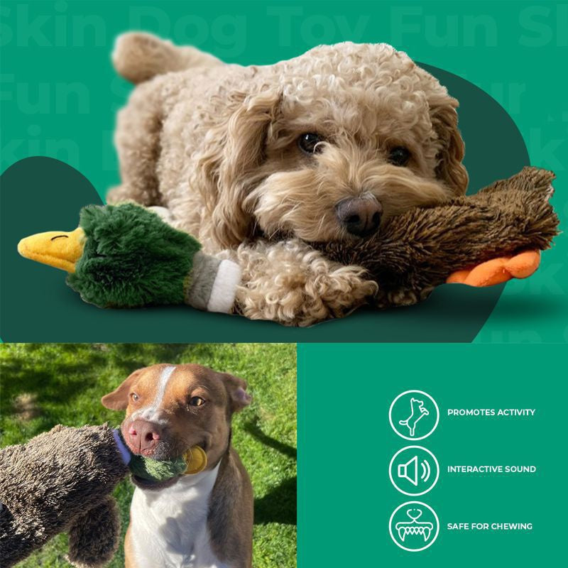 2-in-1 Stuffless Duck Dog Toy – Squeaky Plush - Elorapets Elorapets Green j4e0kn-zs 4 2-in-1 Stuffless Duck Dog Toy – Squeaky Plush