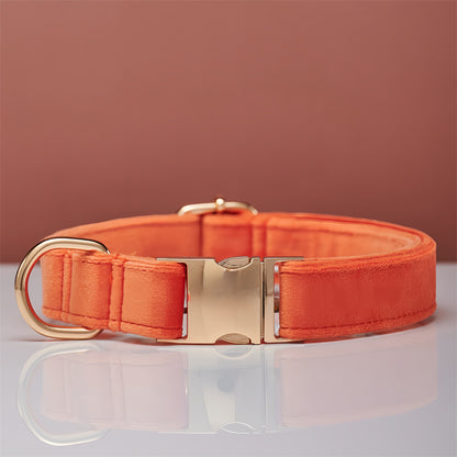 Multiple Colour Velvet Personalise Dog Collar Leash Set With Bow - Elorapets Elorapets Orange / XS j4e0kn-zs 0 Multiple Colour Velvet Personalise Dog Collar Leash Set With Bow