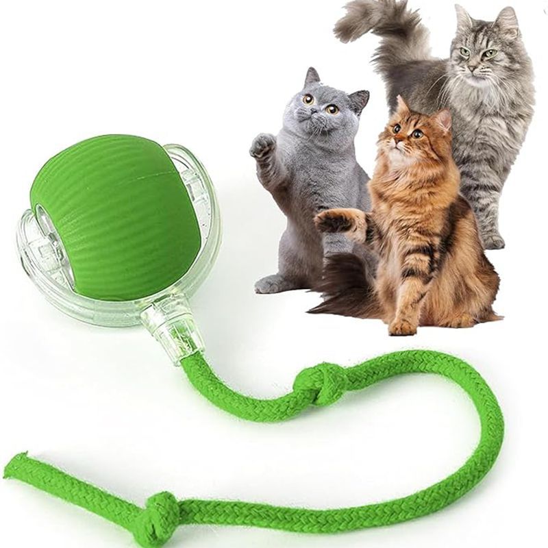 Interactive Smart Cat Ball Toy – USB Rechargeable - Elorapets Elorapets Green j4e0kn-zs 4 Interactive Smart Cat Ball Toy – USB Rechargeable